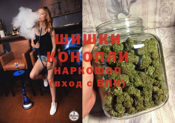 ГАЛЛЮЦИНОГЕННЫЕ ГРИБЫ Арсеньев