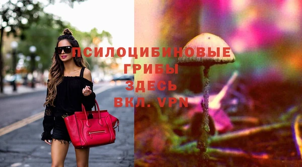 прущие крисы Белокуриха