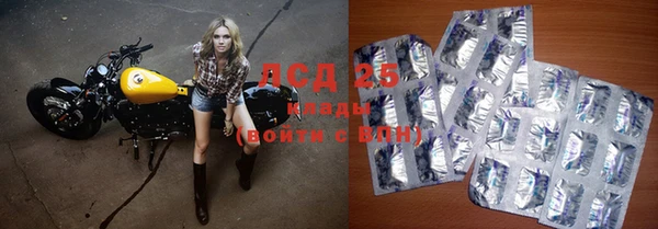 прущие крисы Белокуриха