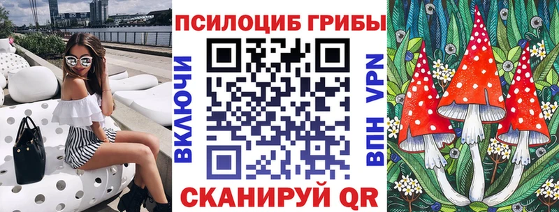 где купить наркоту  Красный Кут  ОМГ ОМГ вход  Галлюциногенные грибы Psilocybe 