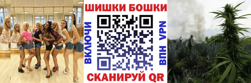 блэк спрут как зайти Красный Кут Конопля план